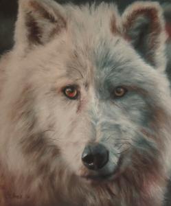 Cherise Foster Wins The SAAs Best Young Artist In The Wildlife And Animal Category 2015.